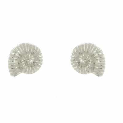 Kitten Ammonite Stud Earrings