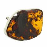 Amber Brooch